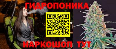 гидра Будённовск