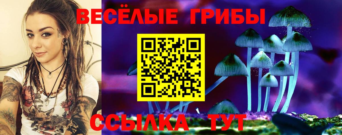 Псилоцибиновые грибы Cubensis Котельники